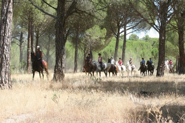 En el bosque.jpg